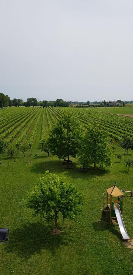 Agriturismo Mulino Delle Tolle Bagnario Arsa Εξωτερικό φωτογραφία